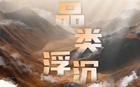 品类浮沉                                          