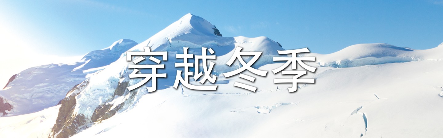 专题头图